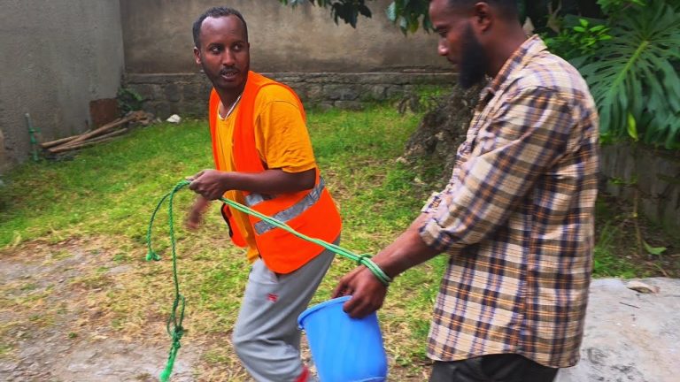 Best AI Apps for Home Gadgets